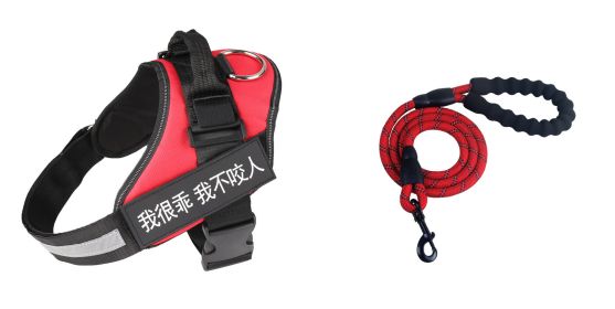 Fashion Simple Pet Leash Chest Strap Set (Option: Red-S)